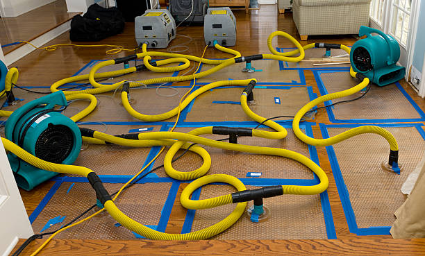 Professional Crawl Space Water Removal technician working in Holland, MI